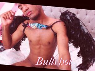 Bulls_hot