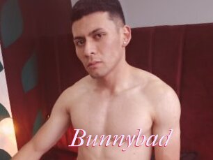 Bunnybad