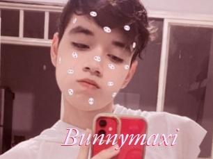 Bunnymaxi