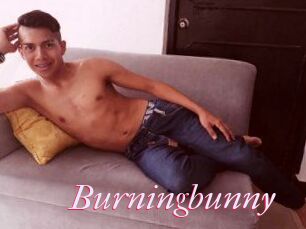 Burningbunny