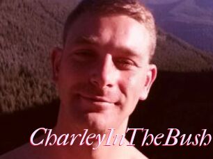 CharleyInTheBush
