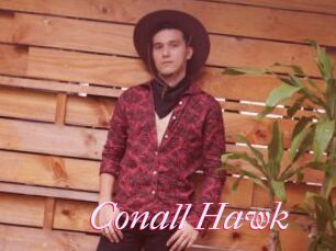 Conall_Hawk