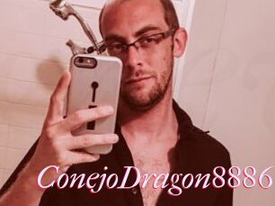 ConejoDragon8886