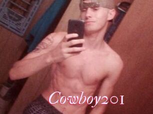Cowboy201
