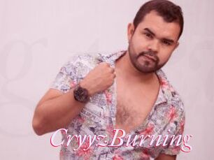 CryyzBurning
