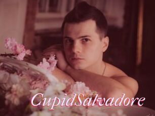CupidSalvadore