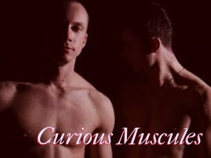 Curious_Muscules