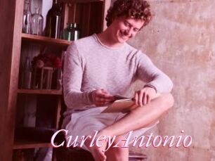 CurleyAntonio