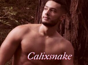 Calixsnake