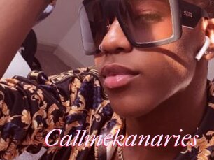 Callmekanaries