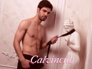Calvincub
