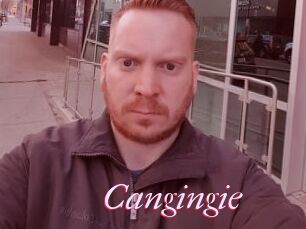 Cangingie