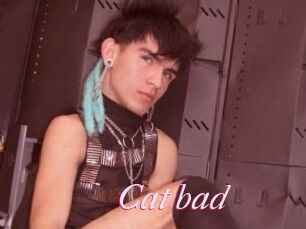 Cat_bad
