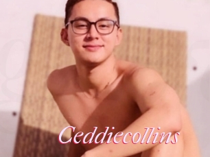 Ceddiecollins