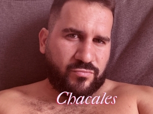 Chacales