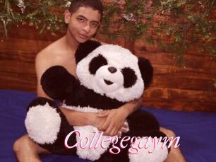 Collegegaym