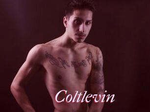 Coltlevin