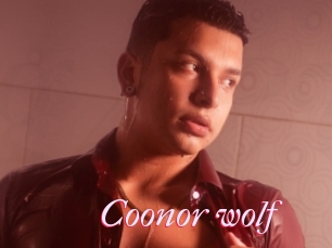 Coonor_wolf