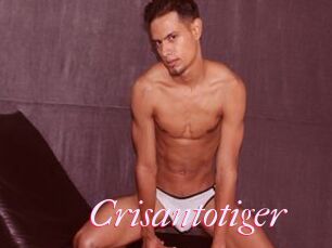 Crisantotiger