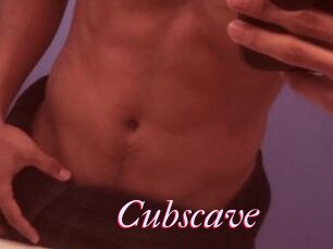 Cubscave