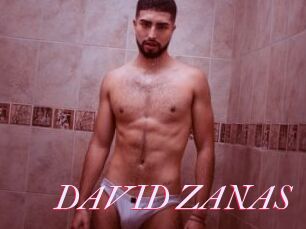 DAVID_ZANAS