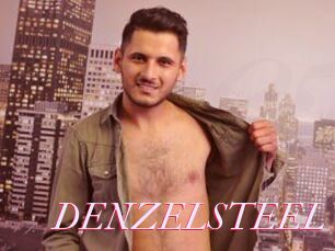 DENZELSTEEL