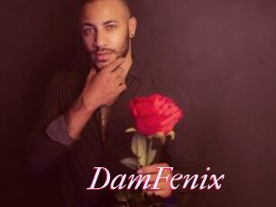 DamFenix