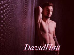 DavidHall