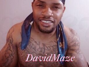 David_Maze