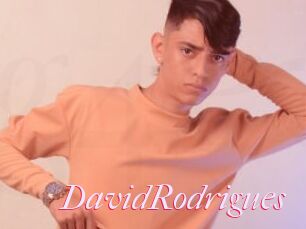 DavidRodrigues