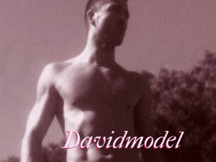 Davidmodel