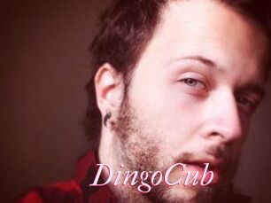 DingoCub