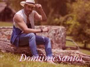 DomiinicSantos