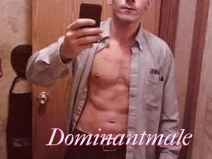 Dominantmale