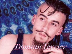 DominicTerrier