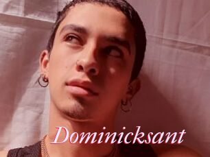 Dominicksant