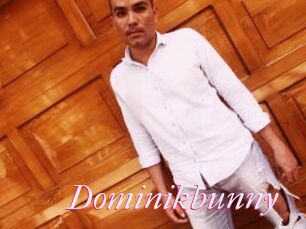Dominikbunny