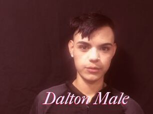 Dalton_Male