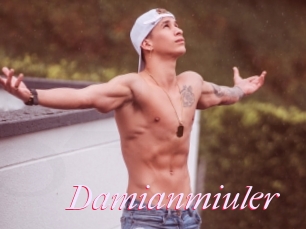 Damianmiuler