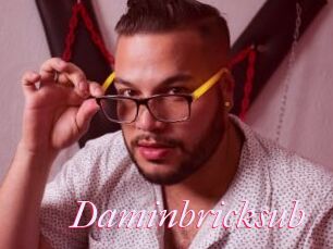 Daminbricksub