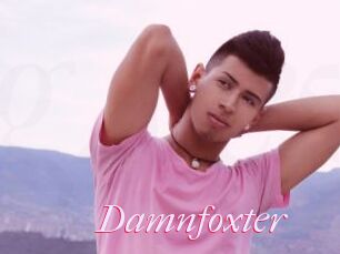 Damnfoxter