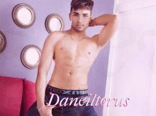 Daneil_torus