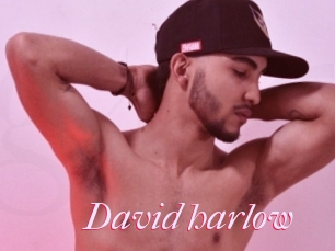 David_harlow