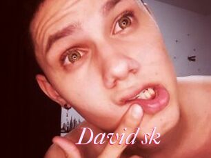 David_sk