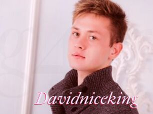 Davidniceking