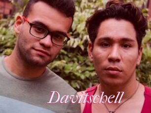 Davitschell