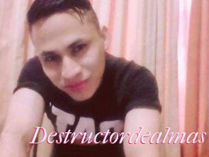 Destructordealmas