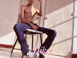 Dikey