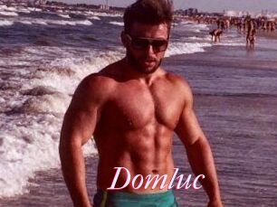 Domluc