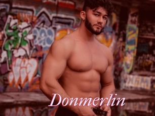 Donmerlin
